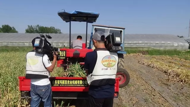 香蕉视频污视频收获机