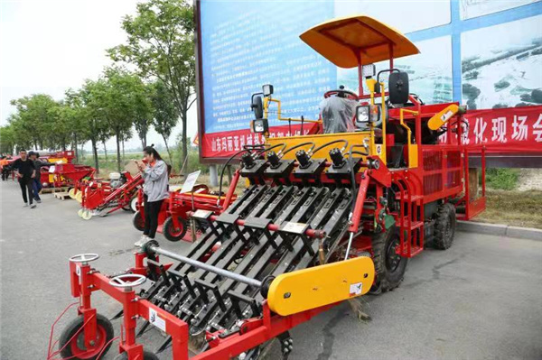 香蕉视频污视频播种机