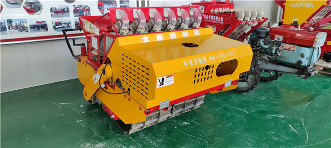 6行自走式香蕉视频污视频精量播种机